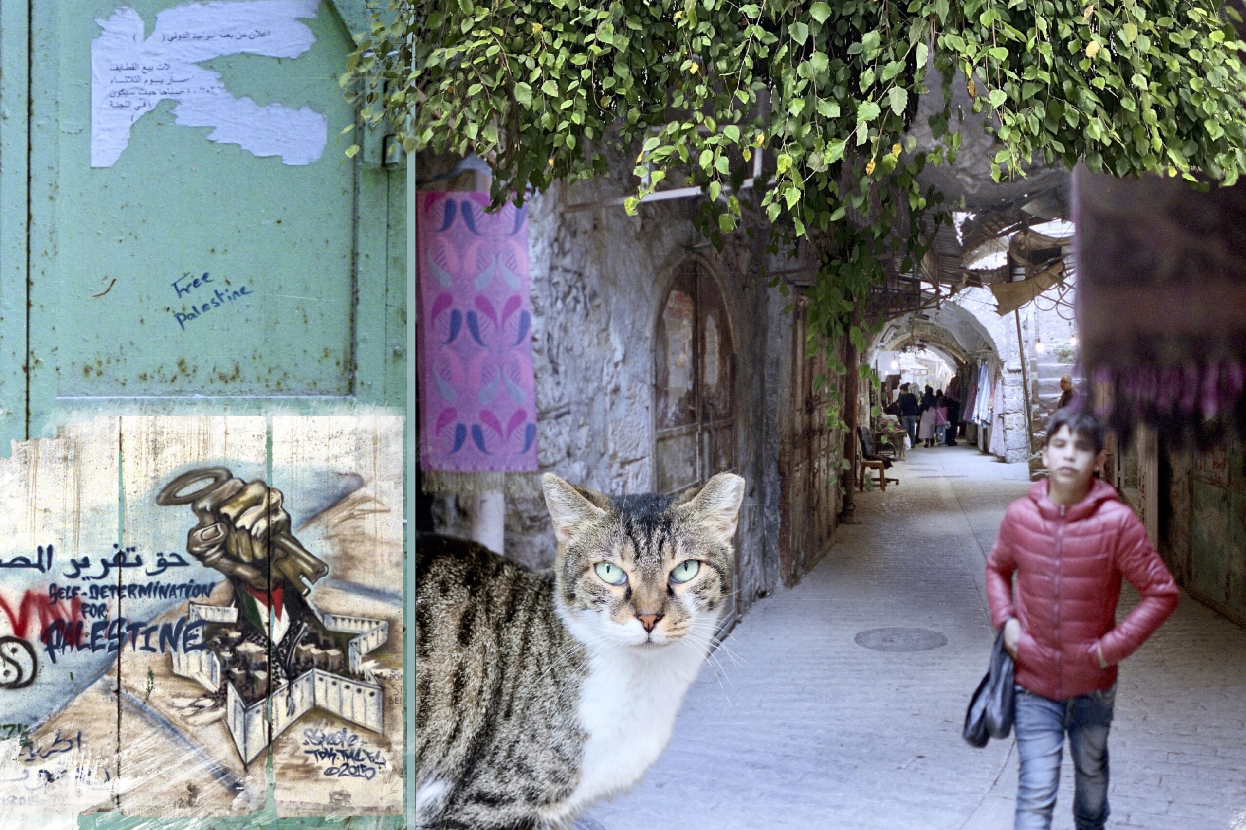 old city market Hebron, graffiti, mural, boy walking