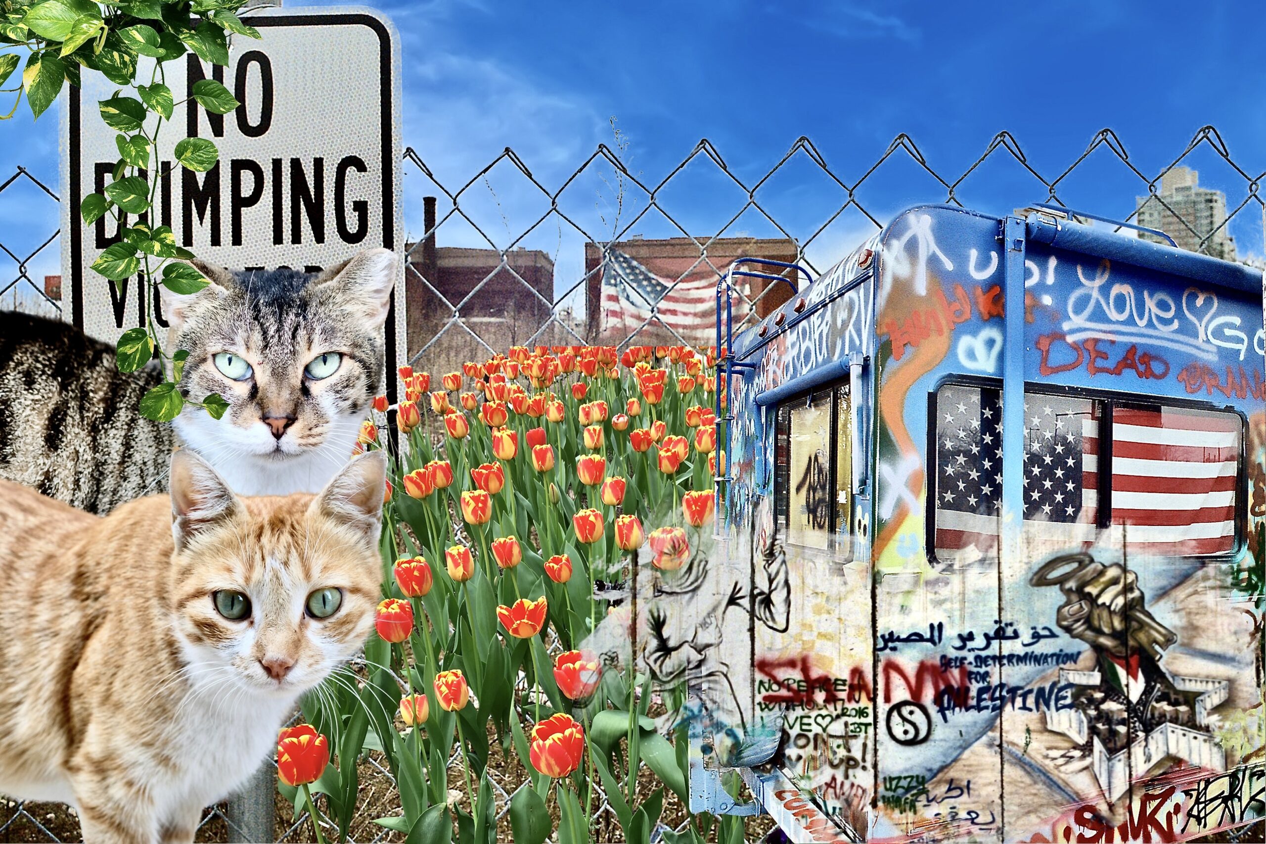 American flag, mural, cats, collage