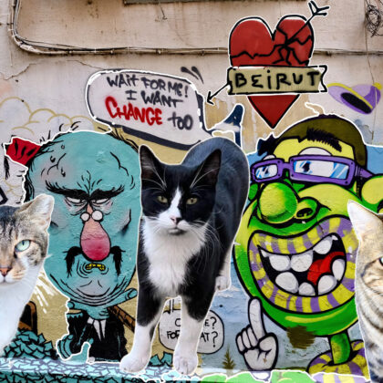 Political graffiti Beirut with two cats.