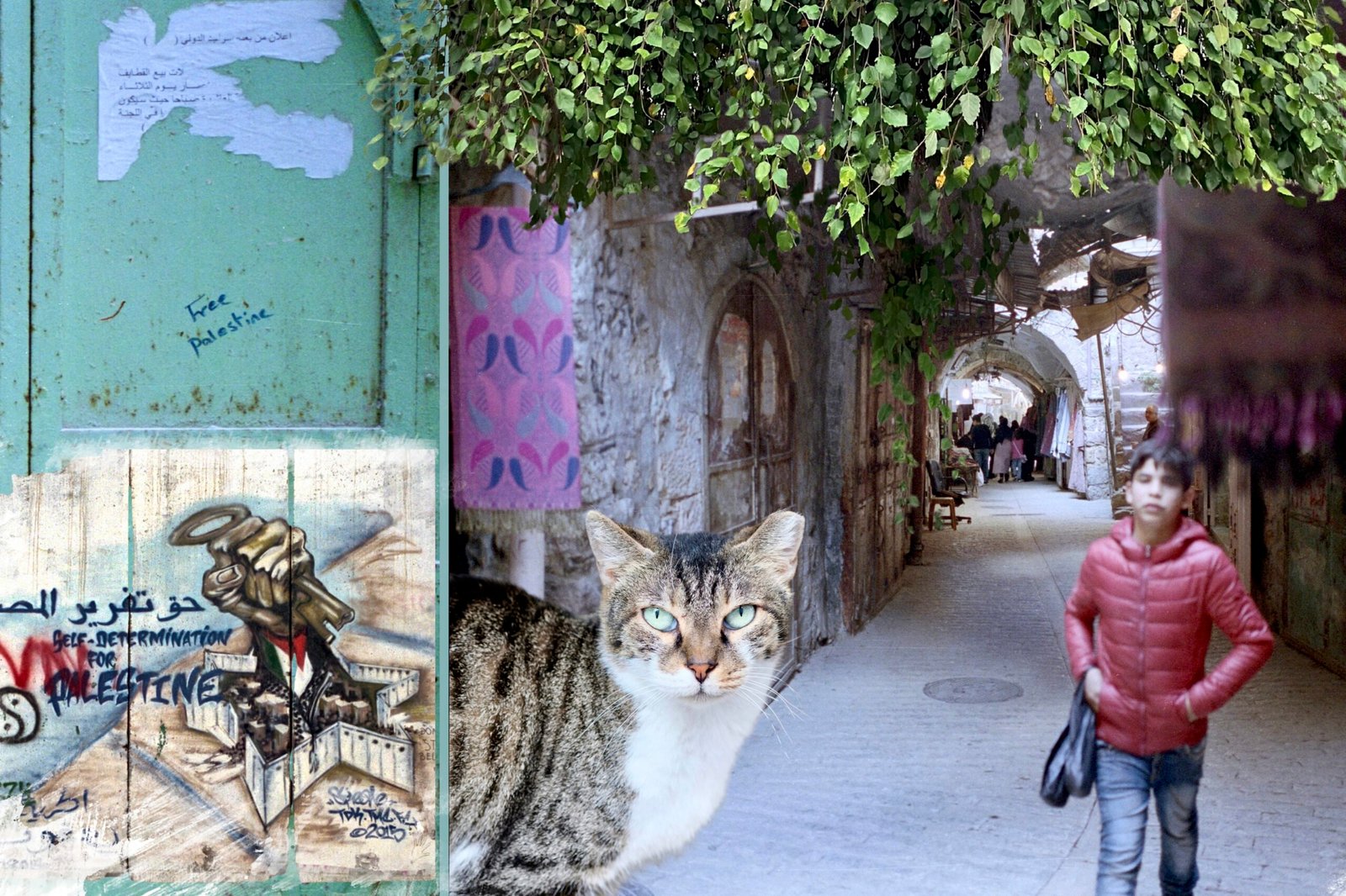 old city market Hebron, graffiti, mural, boy walking, cat
