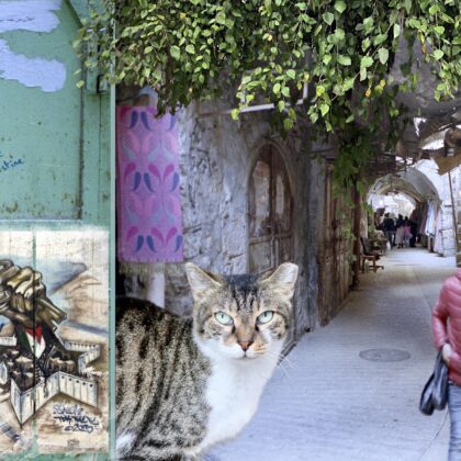 old city market Hebron, graffiti, mural, boy walking